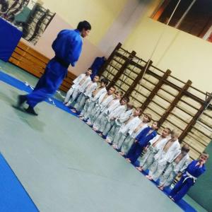 Фотография Секция дзюдо "JUDOKIDS" 0