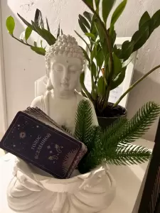 Фотография Yogi Room 4